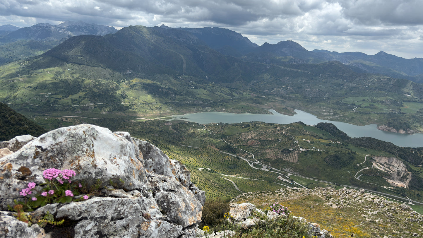 Algodonales (site briefing)